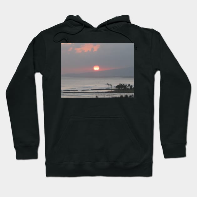 Hawaii Hoodie by DentistArt2022